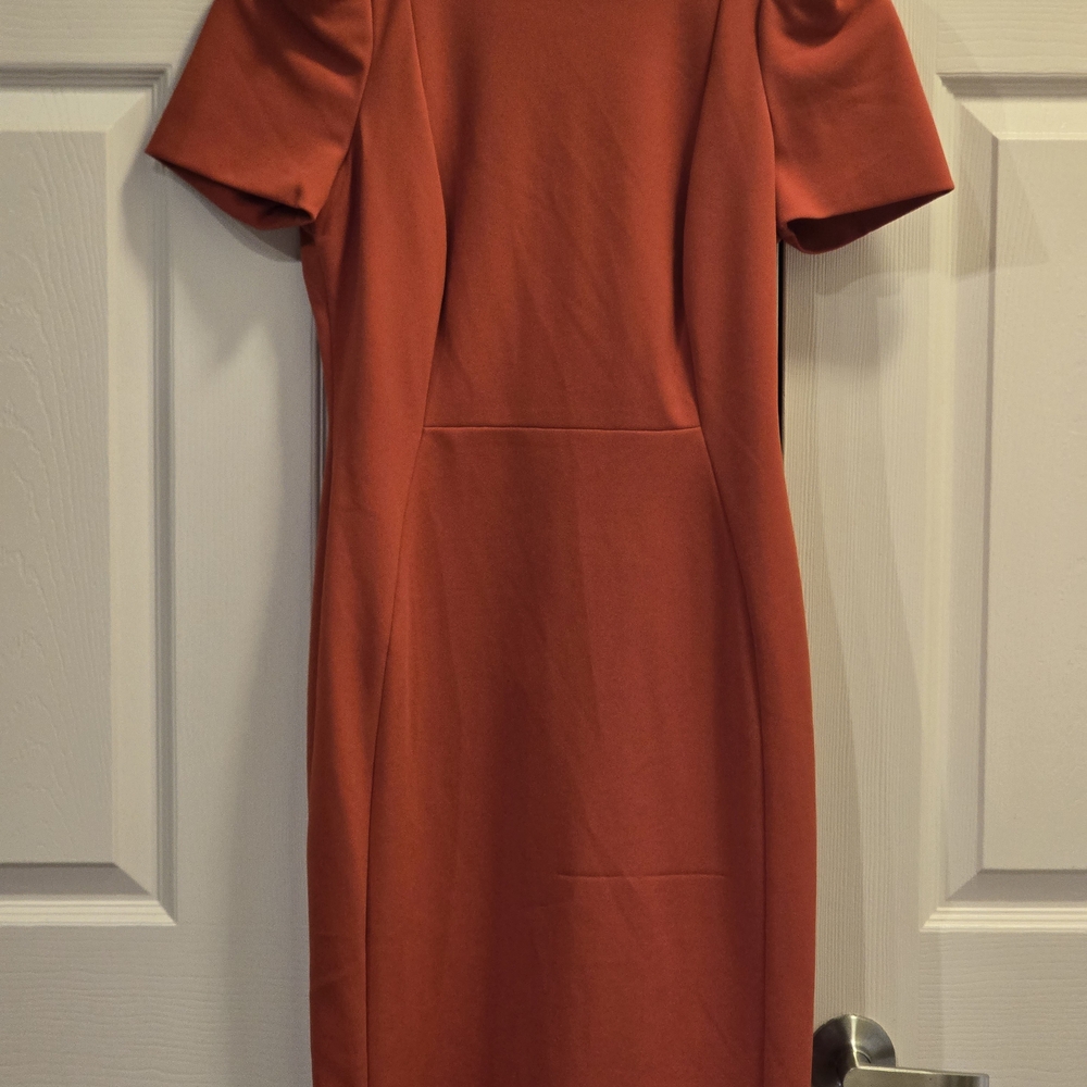 Calvin Klein Terracotta Mini Dress
